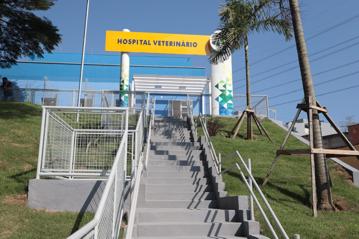 Hospital Veterinário de Santo André inicia consultas online
