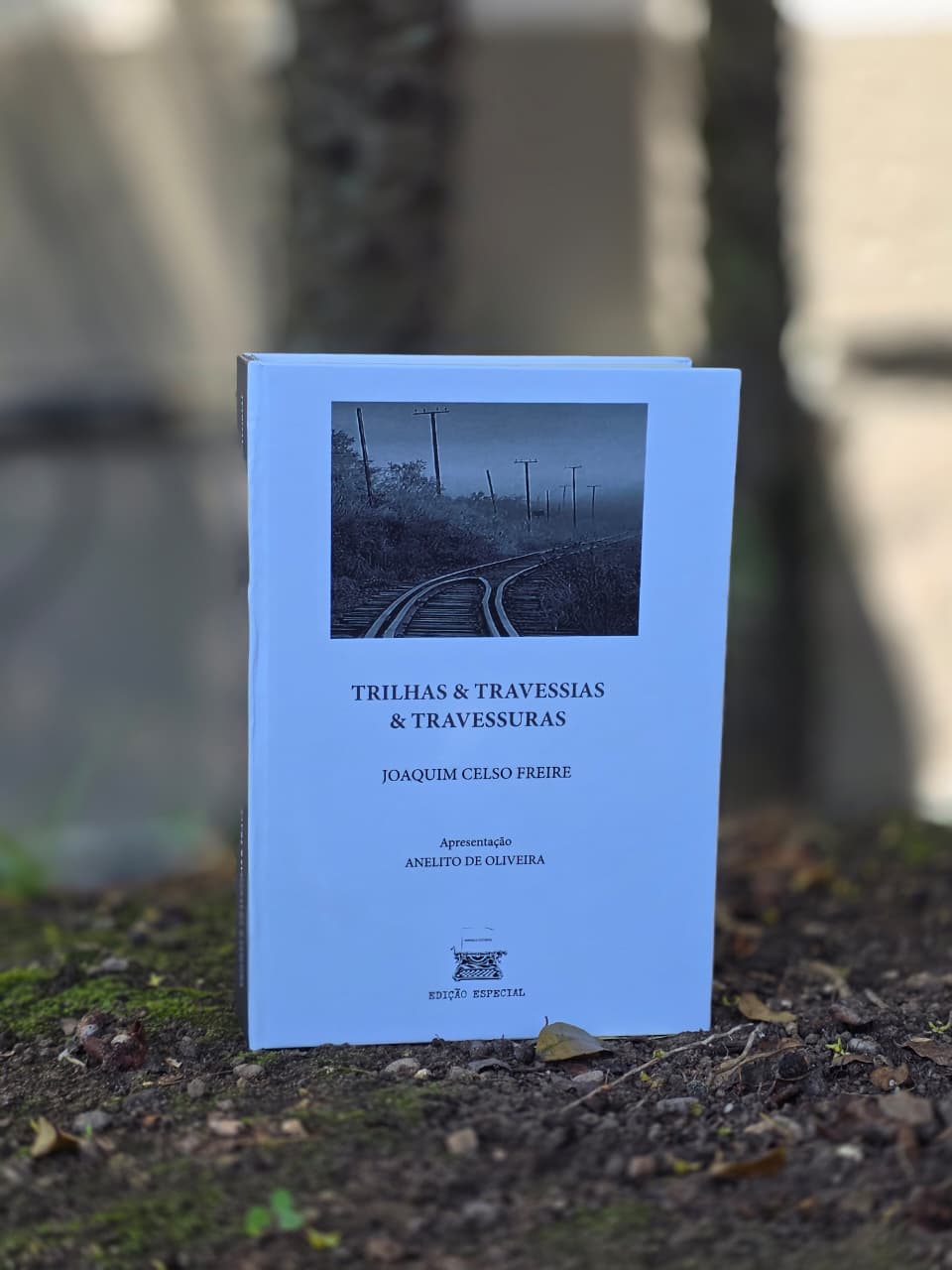 Sesc São Caetano recebe lançamento de livro que percorre memória, identidade e as travessias da vida
