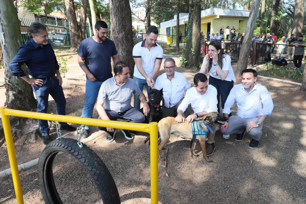 Fotos: Alex Cavanha/PSA