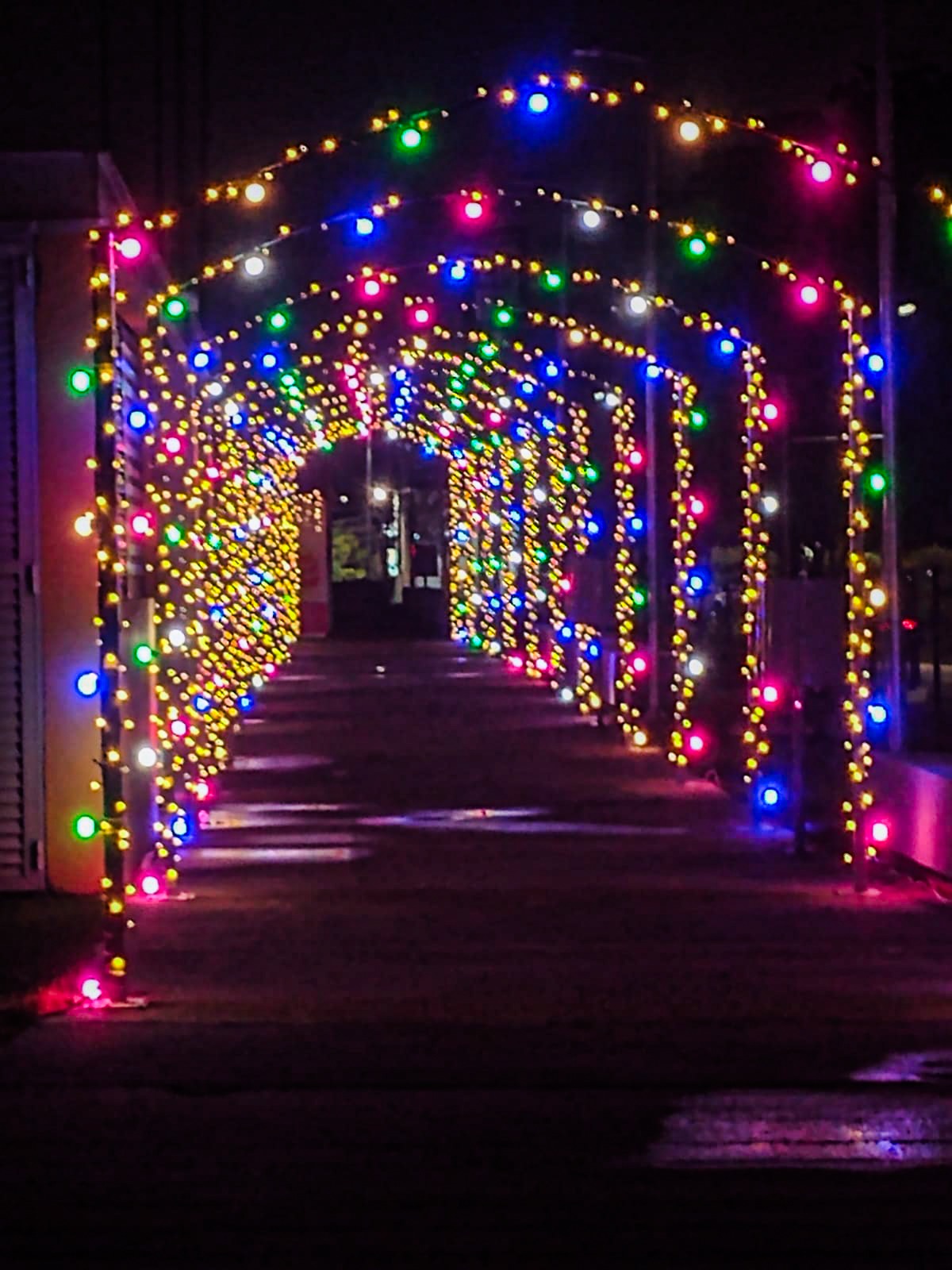 São Caetano celebra a Páscoa com Almir Sater, vila temática com coelho e muito mais para as famílias