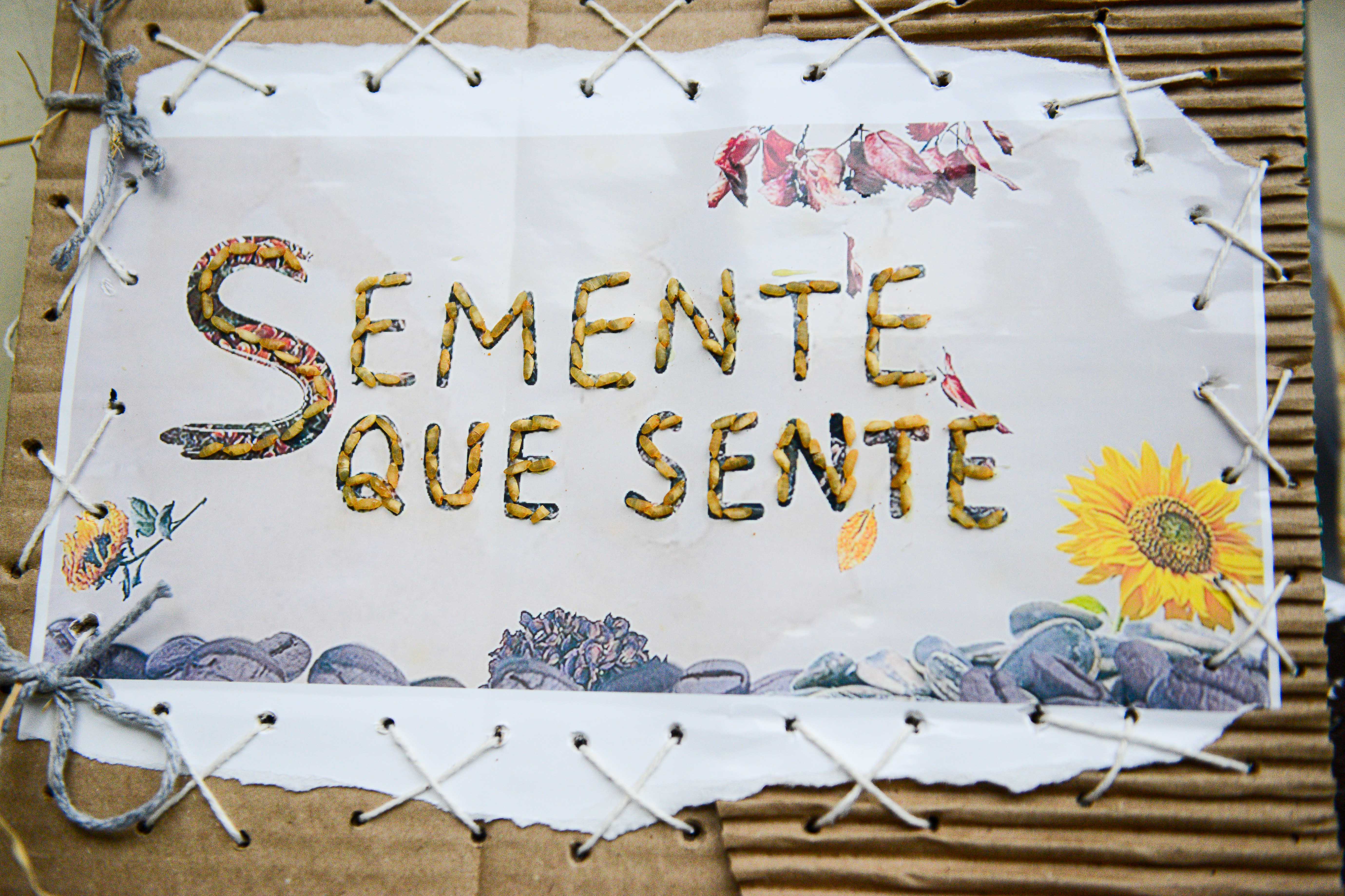 Fotos: Omar Matsumoto/PMSBC