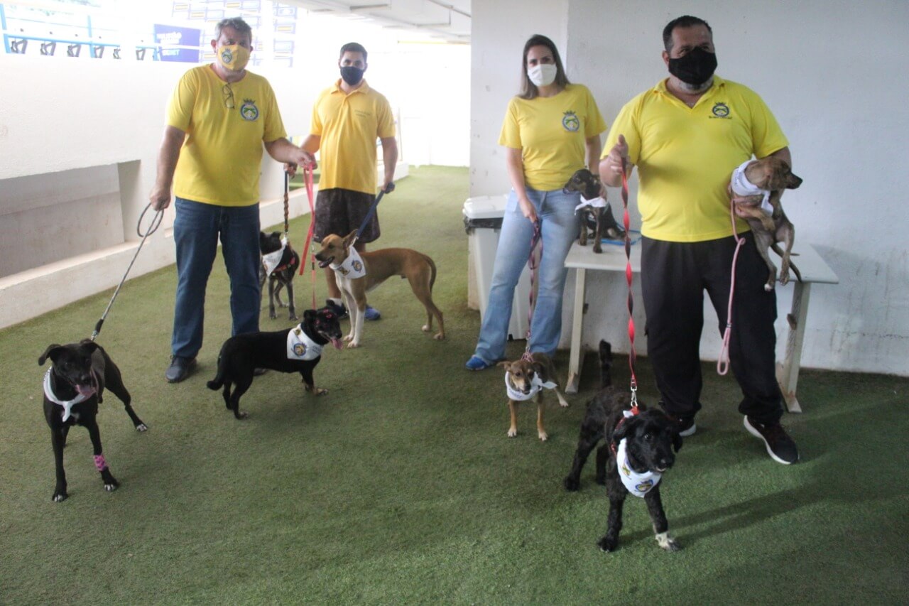 Voluntários da UAPA, entre eles a veterinária Dra. Ana Veterinária, em ação no estádio Brunão, em Santo André. (Foto: Crédito Divulgação)
