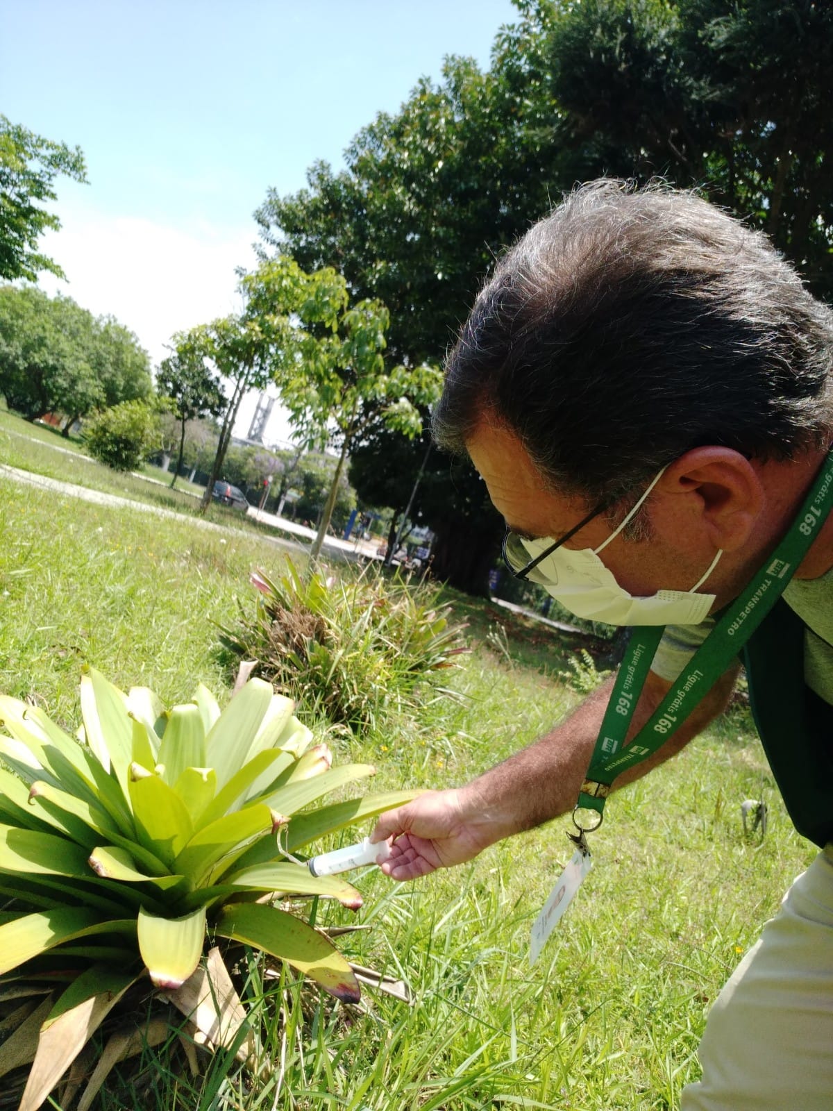 Fotos: Divulgação/PSA