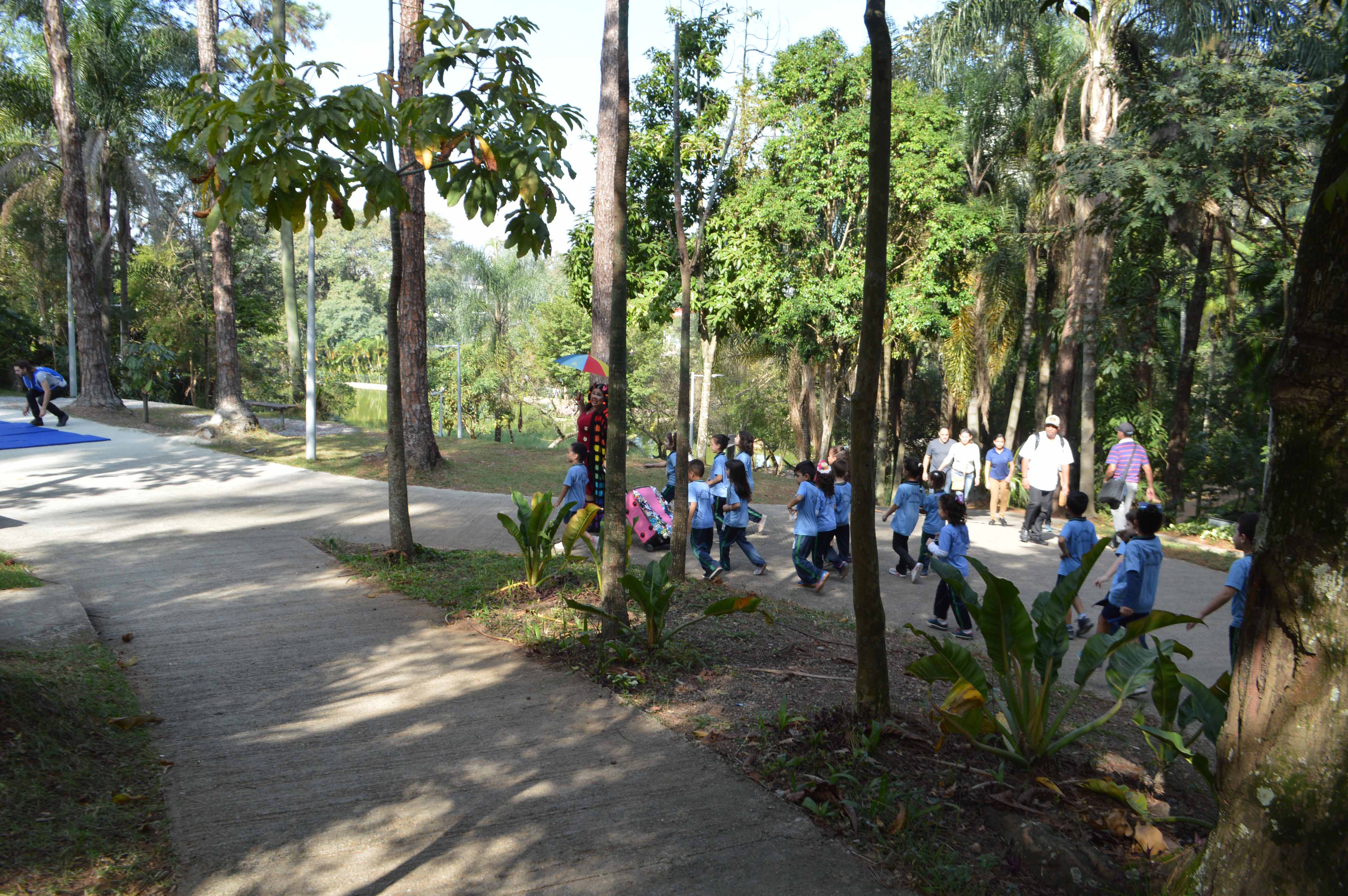 Foto: Divulgação/Semasa